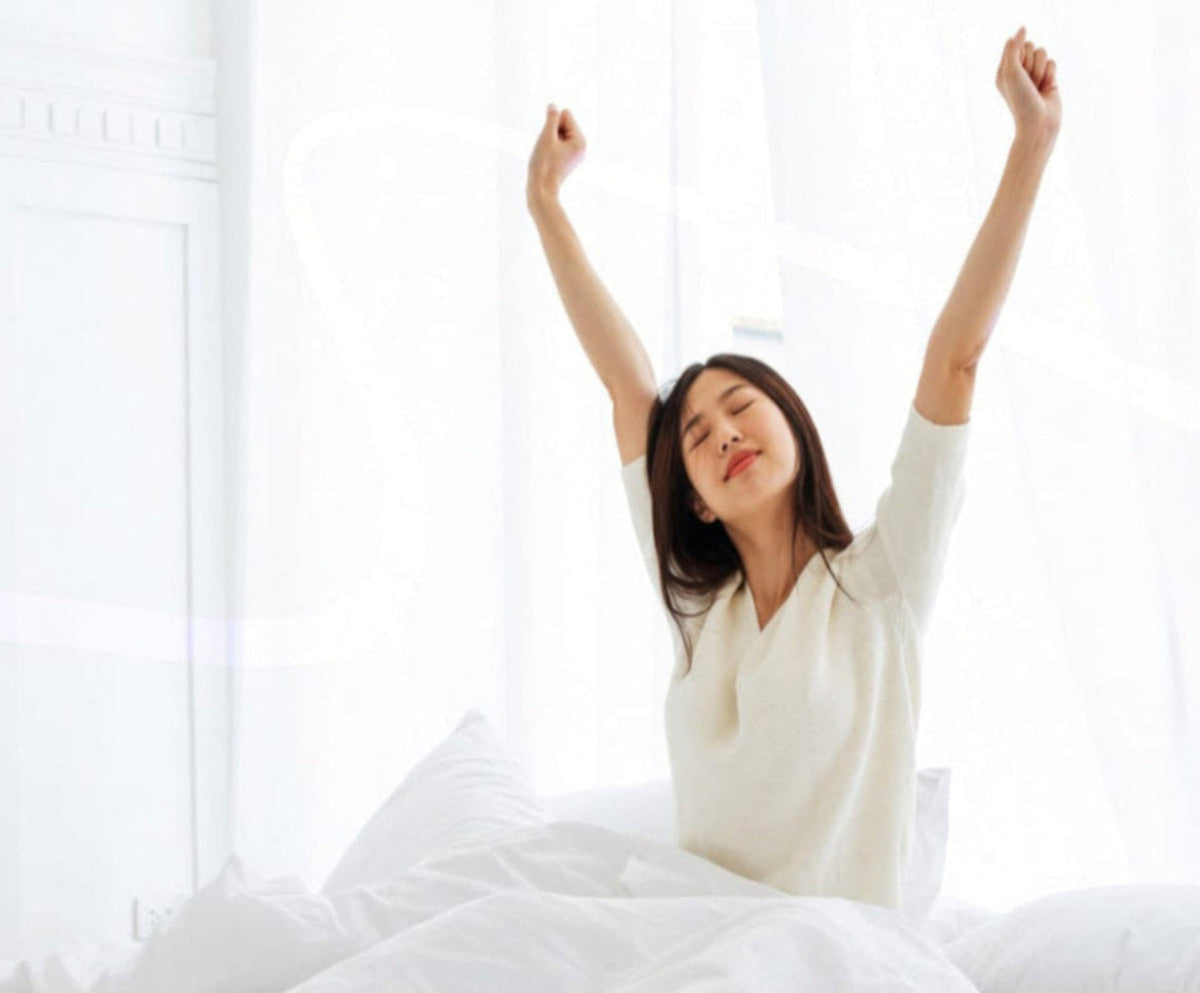 Personal Sleep Consultation (By Appointment Only)